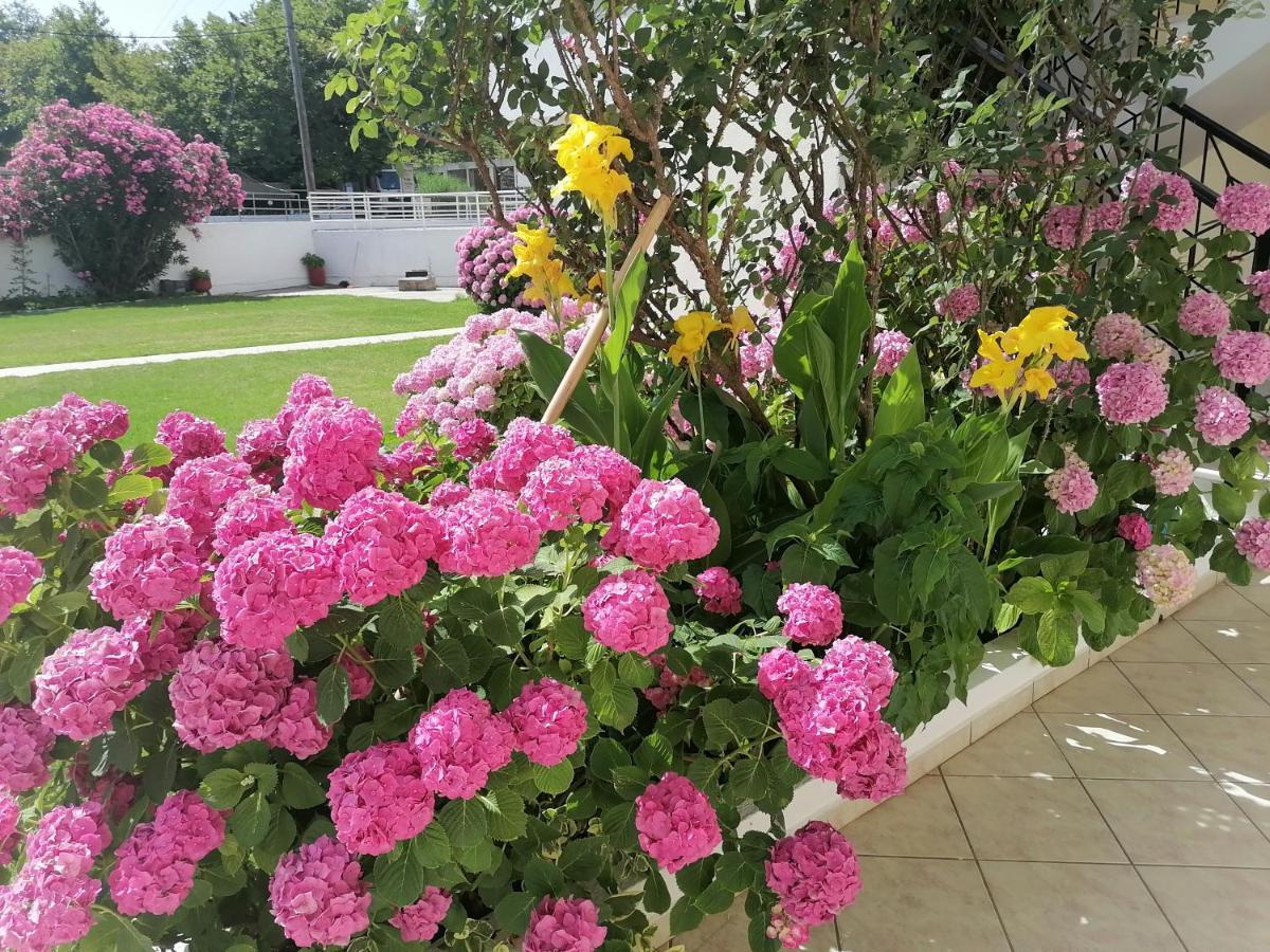 Palatino Studios Agia Paraskevi  Exterior photo